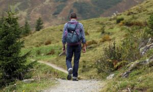 Hiking a Short Trail