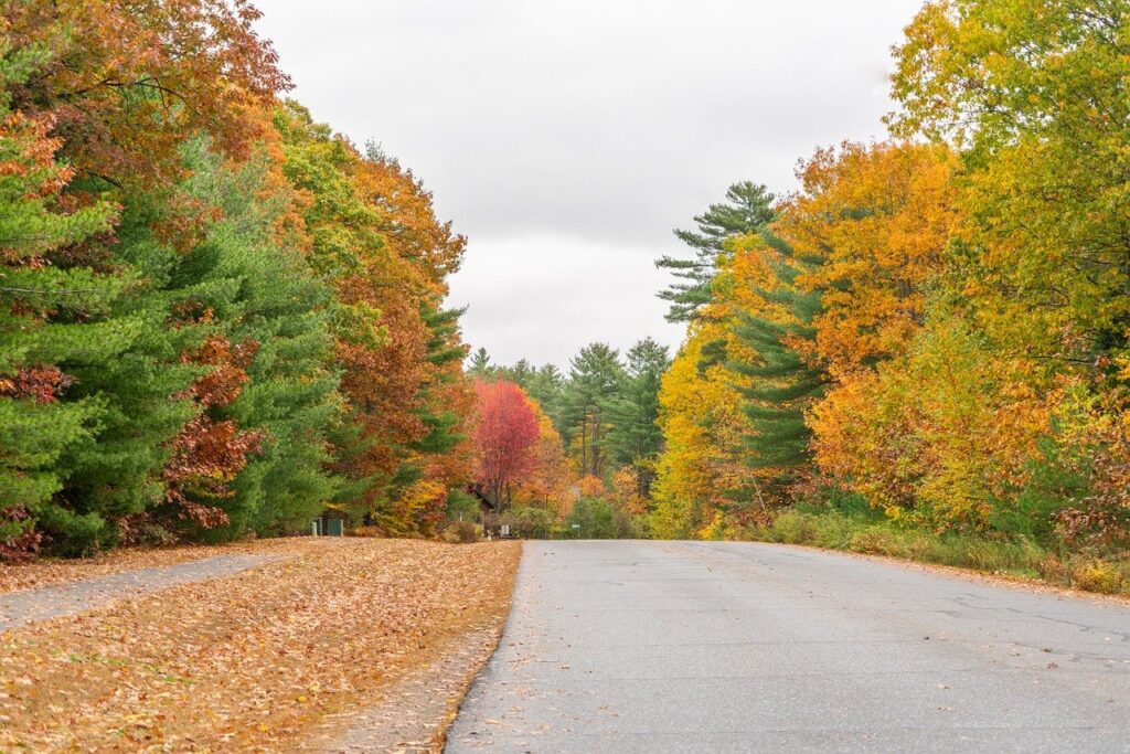 Fall - Transitioning to Winters