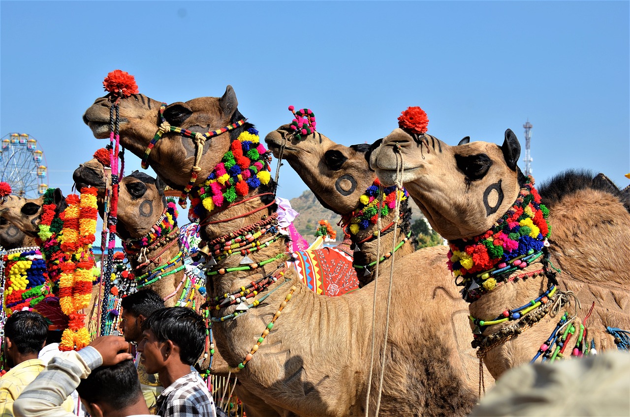 Pushkar Rajasthan